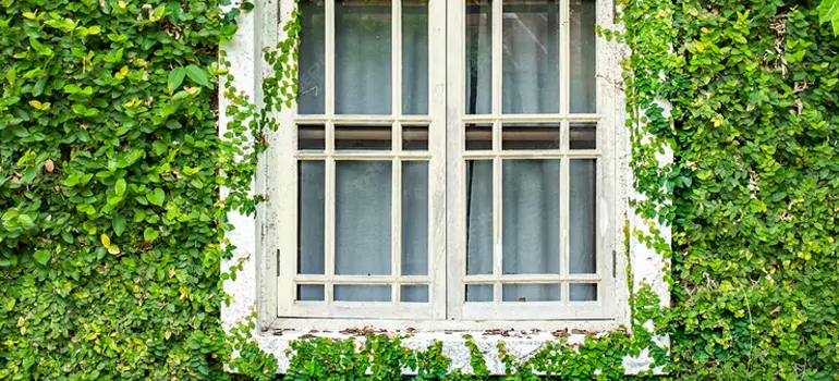 Garden Window Repair Near Me in Lauderdale Lakes, FL